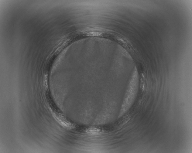 X0000080790598200701051355