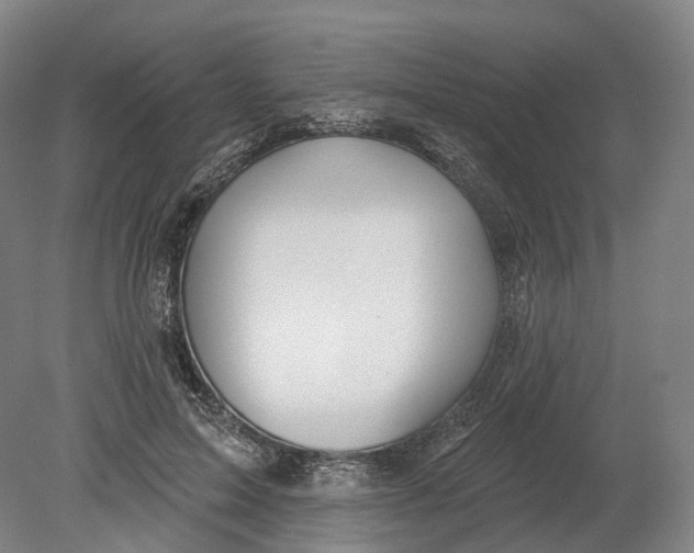 X0000080790599200701051355