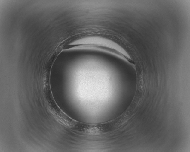 X0000080790600200701051355