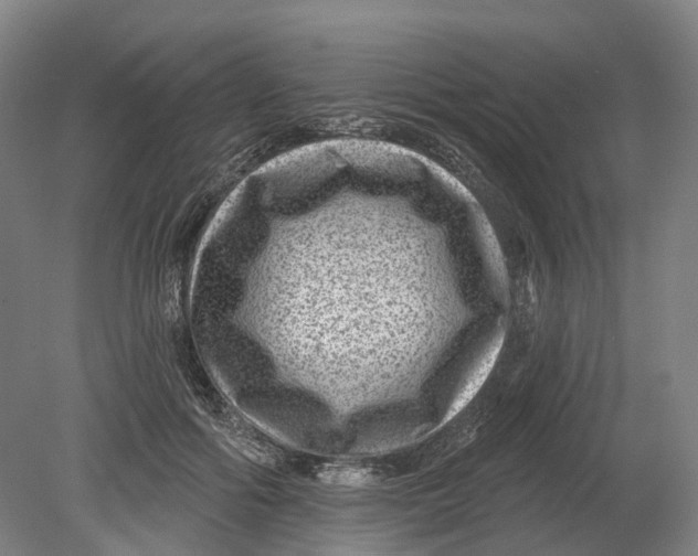 X0000080790602200701051355