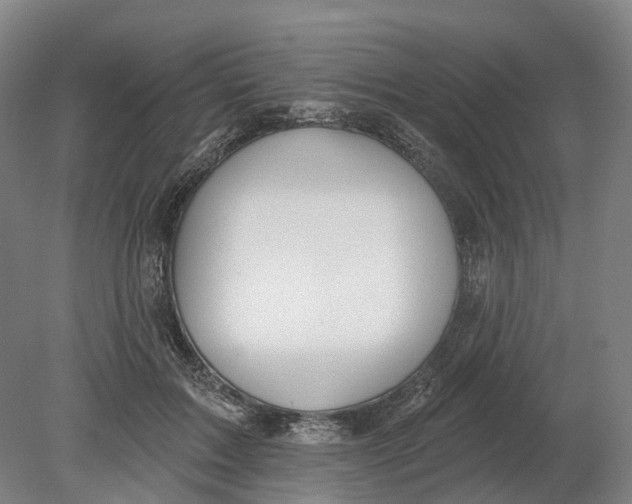 X0000080790603200701051355