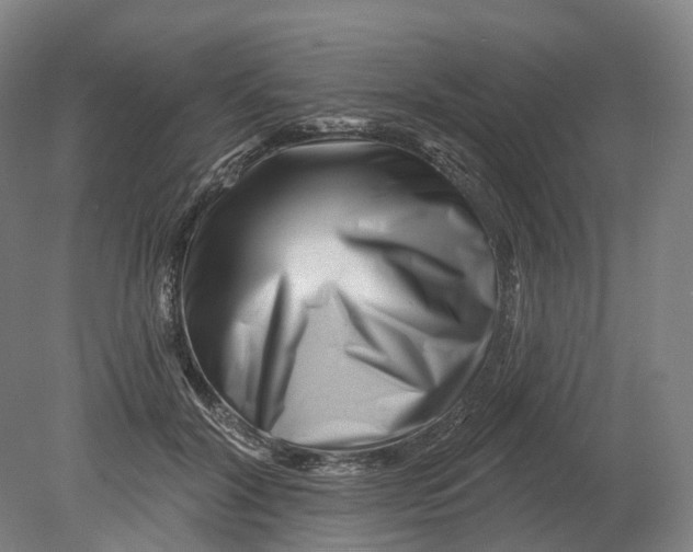 X0000080790604200701051355
