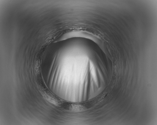 X0000080790605200701051355