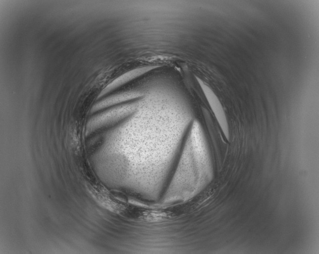 X0000080790607200701051355