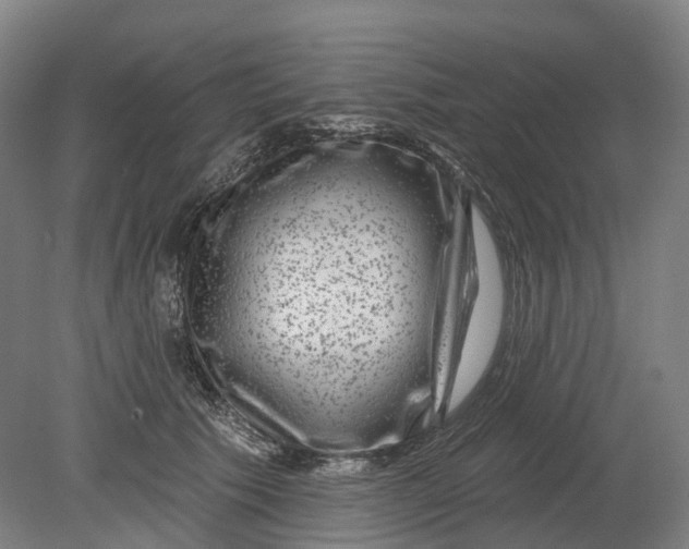 X0000080790609200701051355