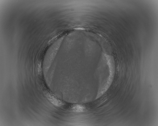 X0000080790610200701051355