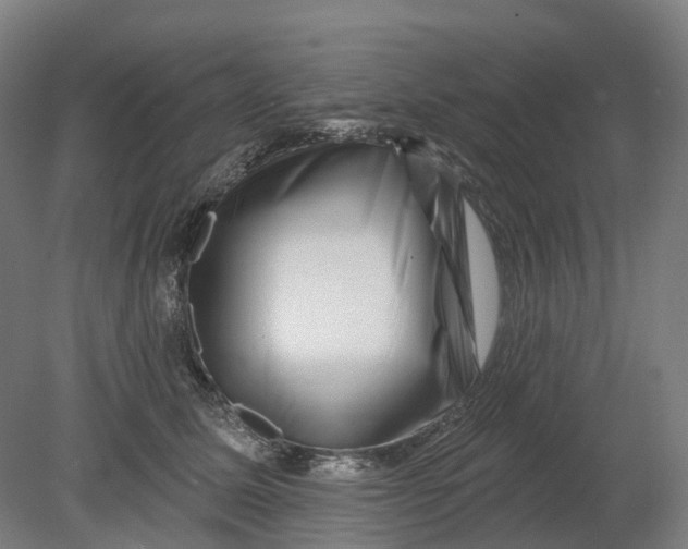 X0000080790611200701051355