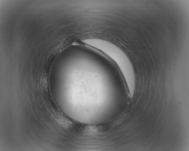 X0000080790613200701051355