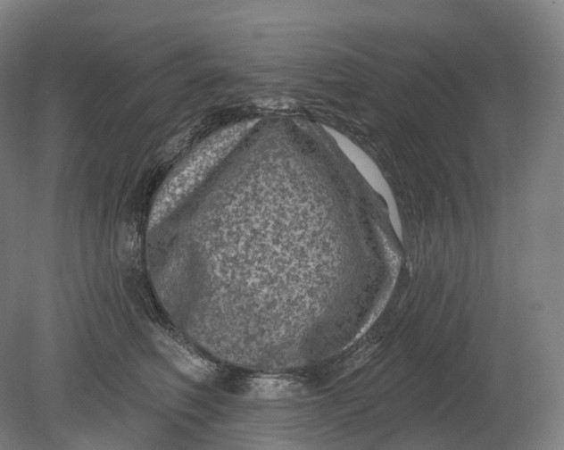 X0000080790614200701051355