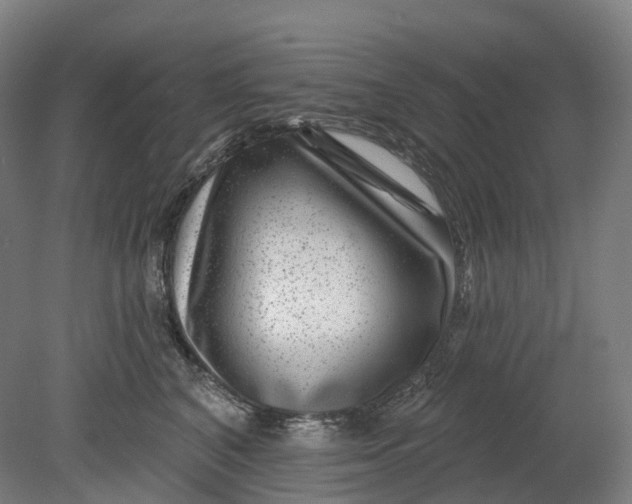 X0000080790616200701051355