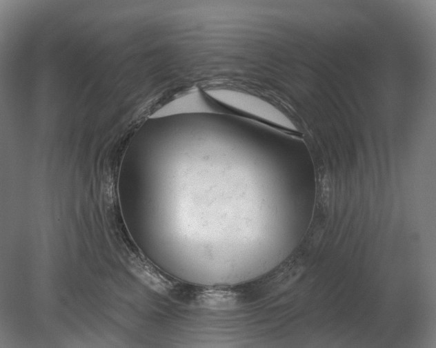 X0000080790617200701051355
