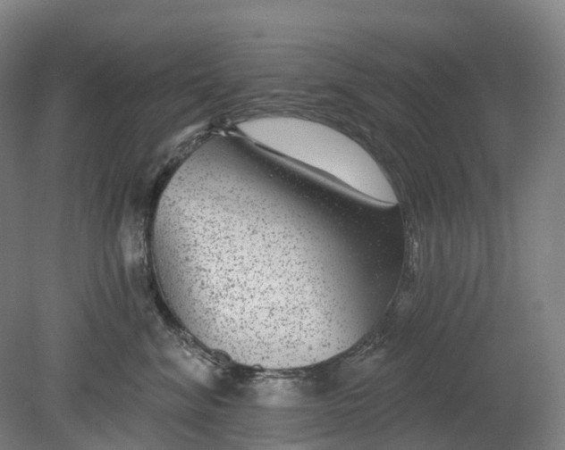 X0000080790620200701051355