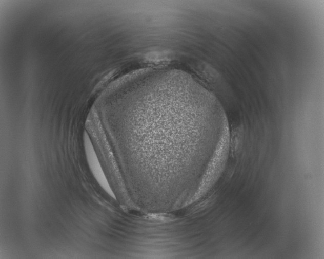 X0000080790623200701051355
