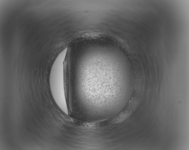 X0000080790624200701051355
