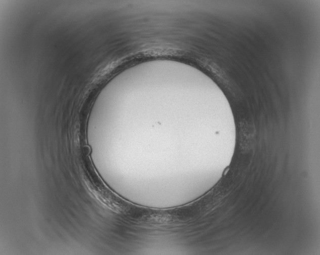 X0000080790631200701051354