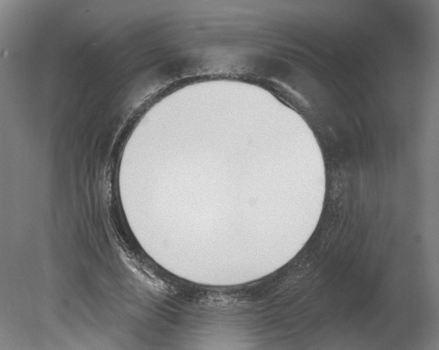X0000080790632200701051354