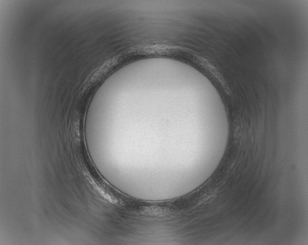 X0000080790633200701051354