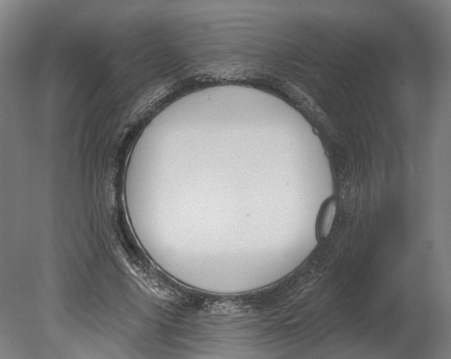 X0000080790635200701051354