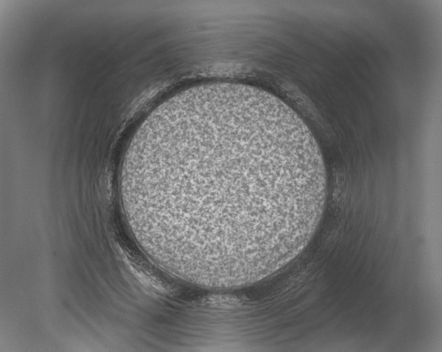X0000080790636200701051354