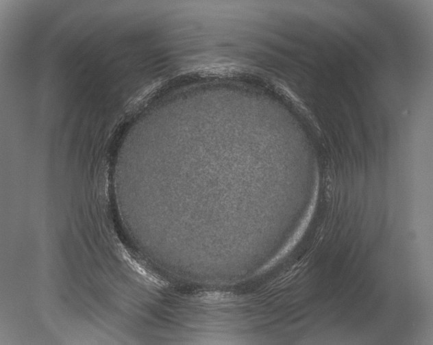 X0000080790637200701051354