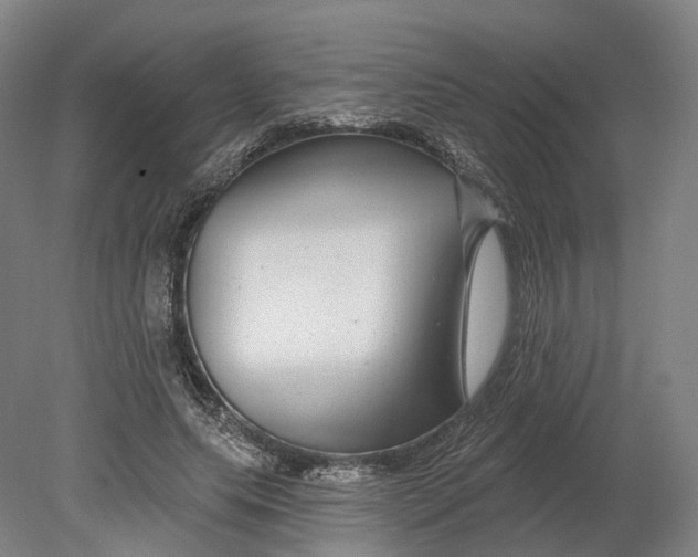 X0000080790639200701051354