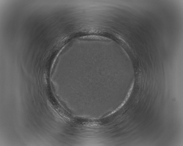 X0000080790643200701051354