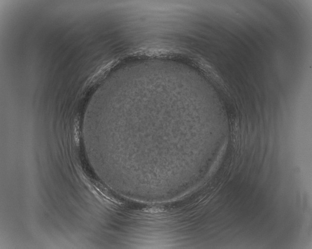 X0000080790644200701051354