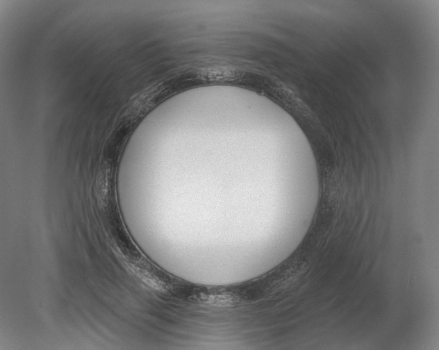 X0000080790645200701051354