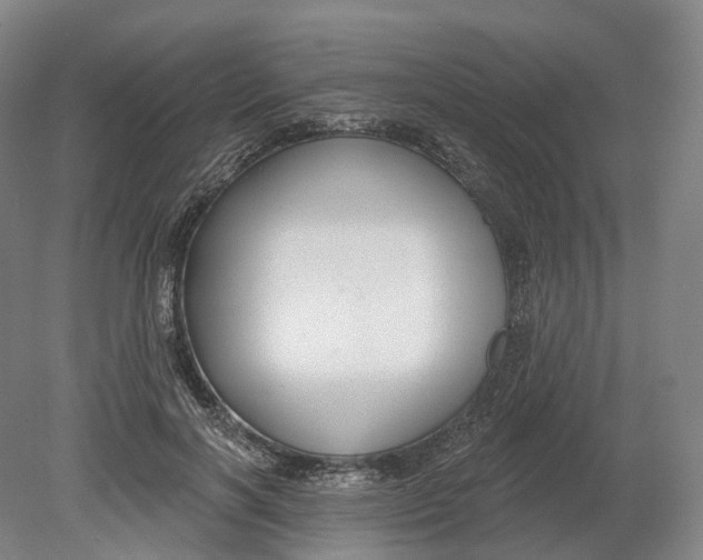 X0000080790646200701051354