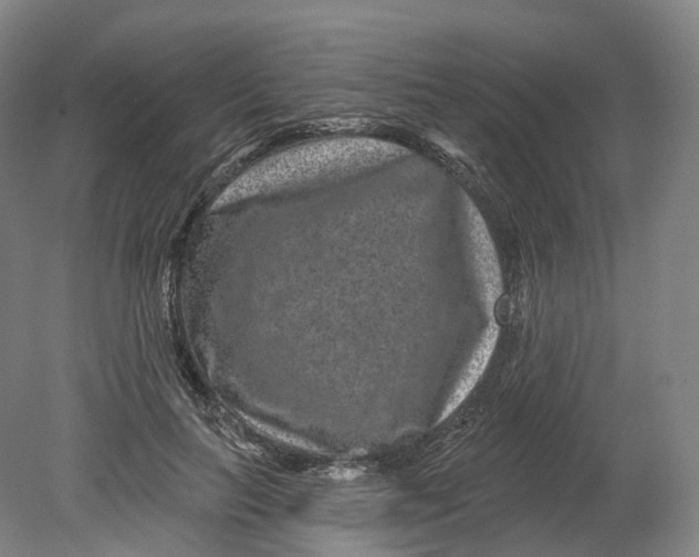 X0000080790647200701051354