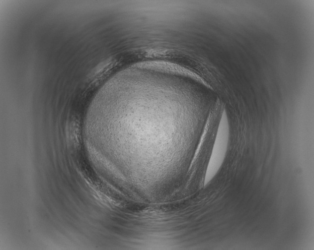 X0000080790648200701051354