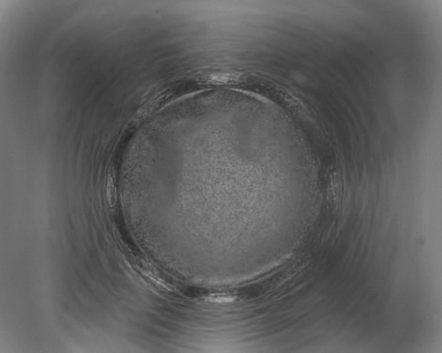 X0000080790651200701051355