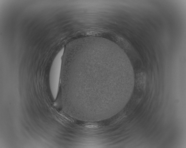 X0000080790653200701051355