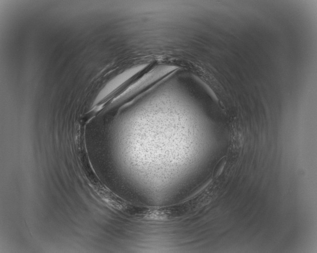 X0000080790656200701051355