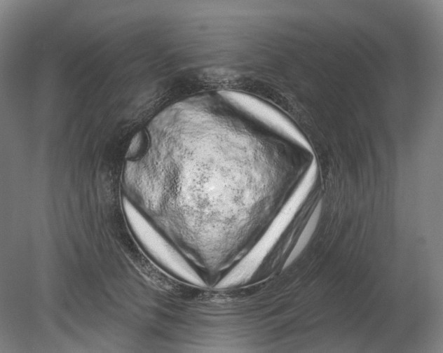 X0000080790658200701051355