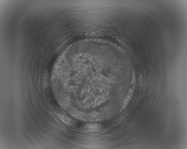 X0000080790659200701051355