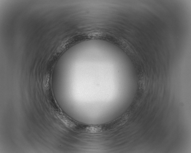X0000080790660200701051355