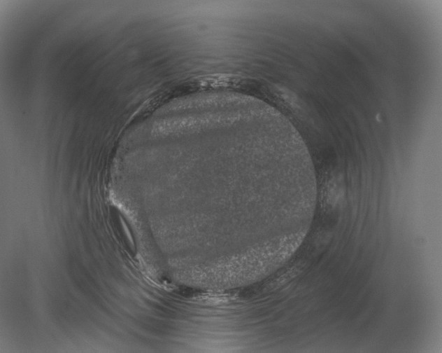 X0000080790661200701051355