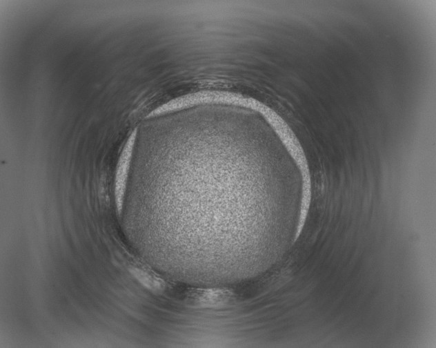 X0000080790663200701051355
