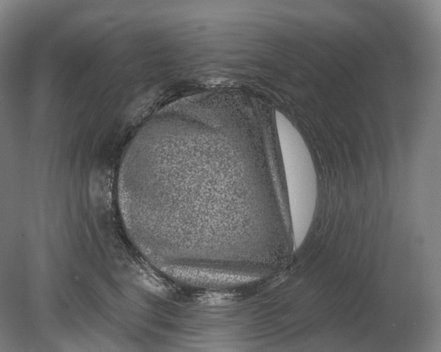 X0000080790664200701051355