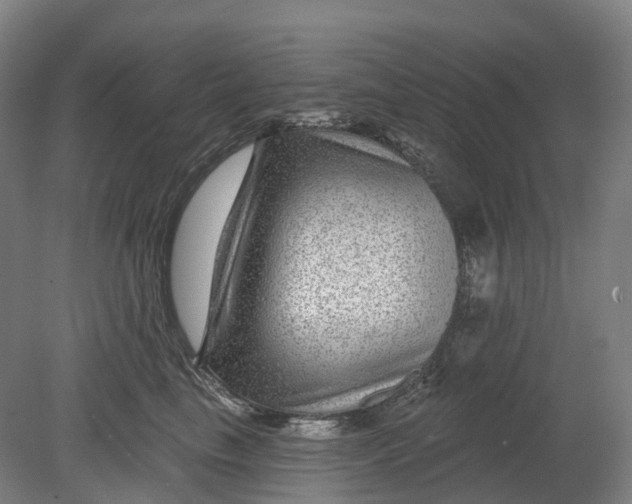 X0000080790665200701051355