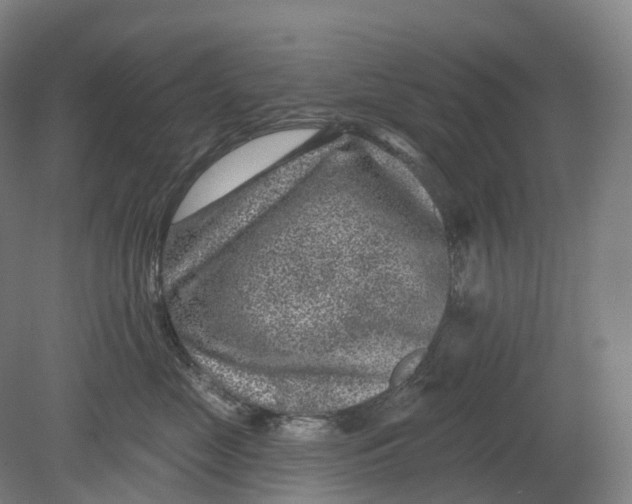 X0000080790669200701051355