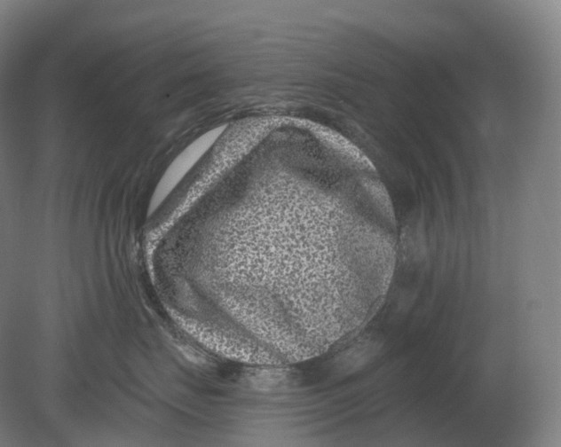 X0000080790671200701051355