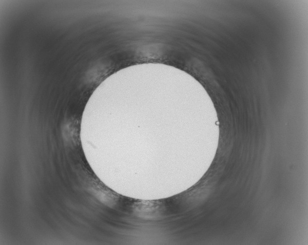 X0000080790672200701051355