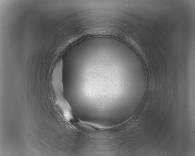 X0000080790673200701051354