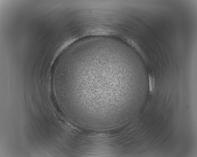 X0000080790675200701051354