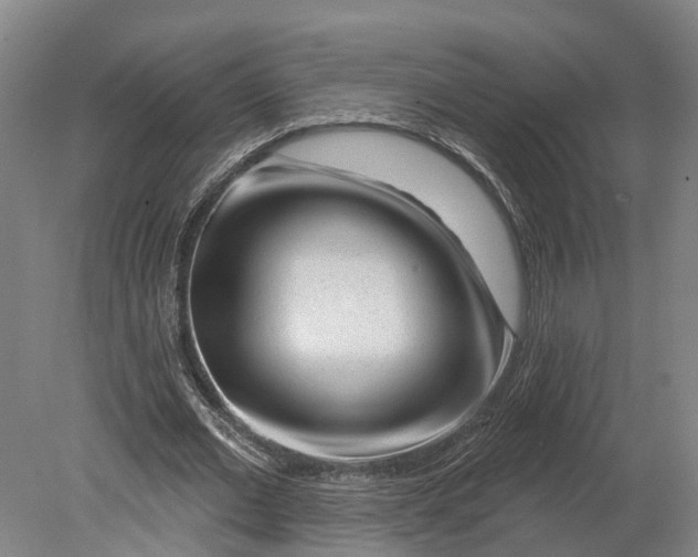 X0000080790677200701051354
