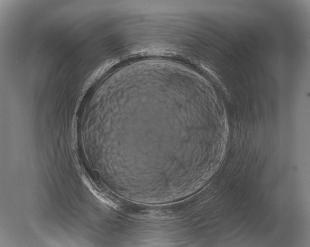 X0000080790678200701051354