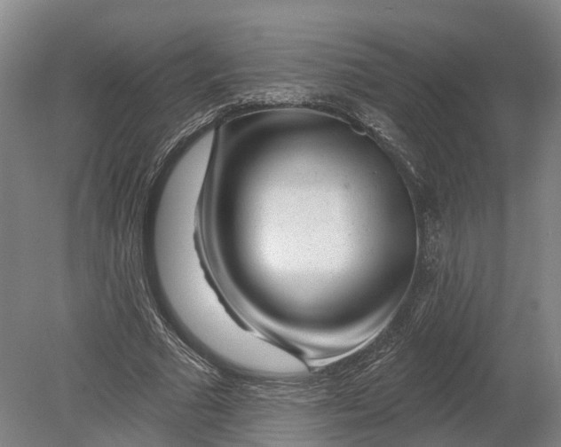 X0000080790681200701051354