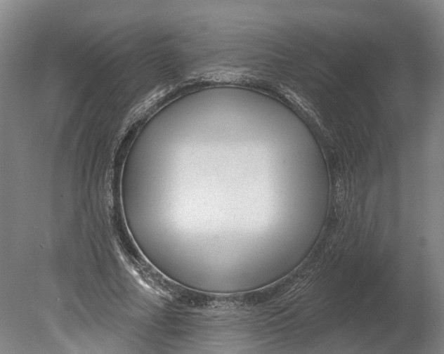 X0000080790682200701051354